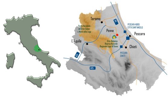Ingrandisci la carta